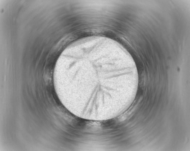 X0000087030140200705141931