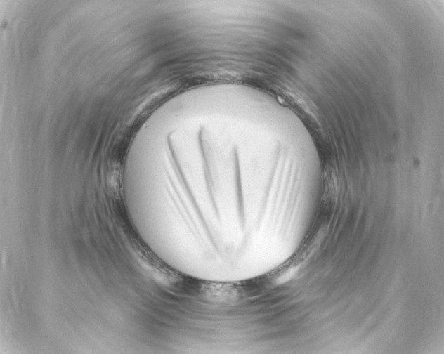 X0000087030141200705141931