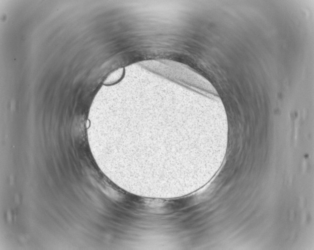 X0000087030144200705141931