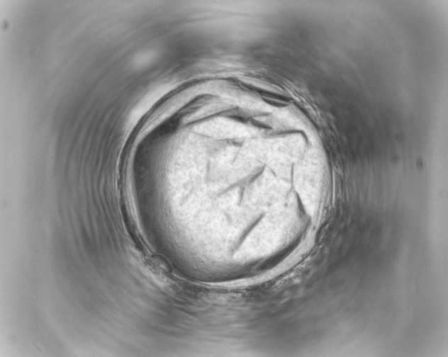 X0000087030147200705141931