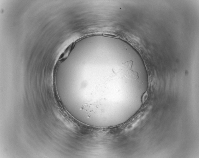 X0000087030148200705141931