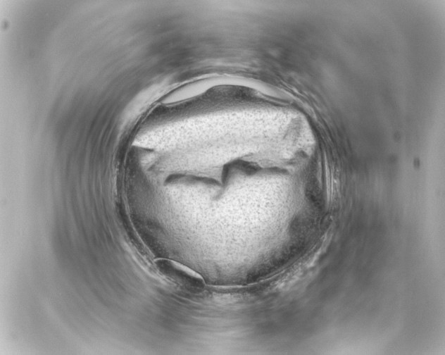 X0000087030149200705141931