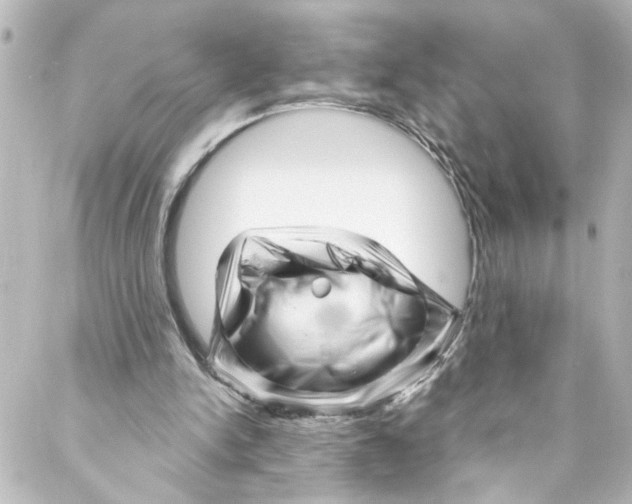 X0000087030150200705141931