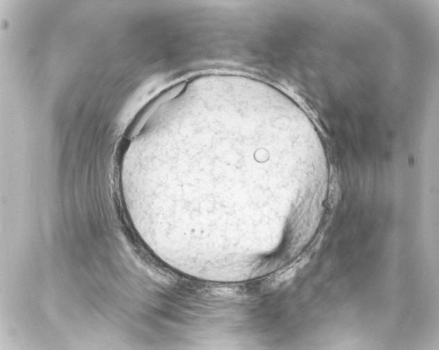 X0000087030151200705141931