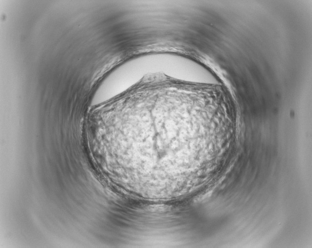 X0000087030153200705141931