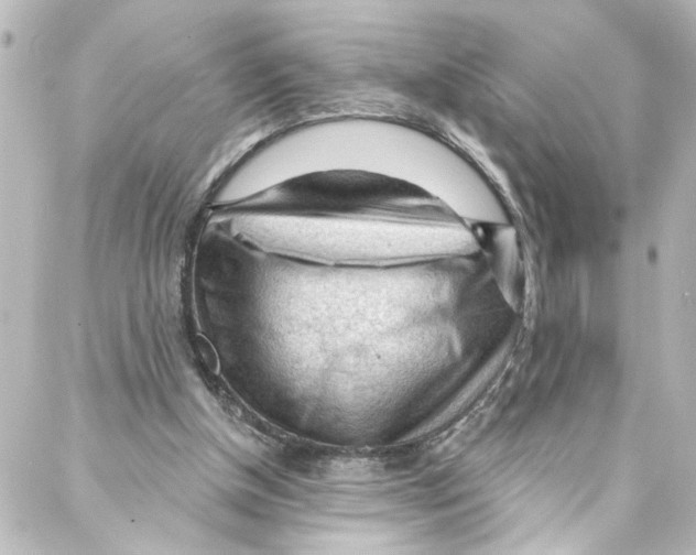 X0000087030154200705141931