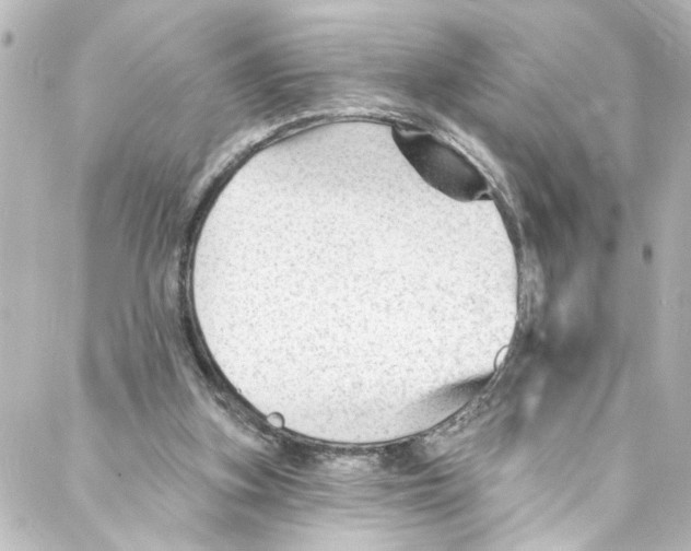 X0000087030155200705141931