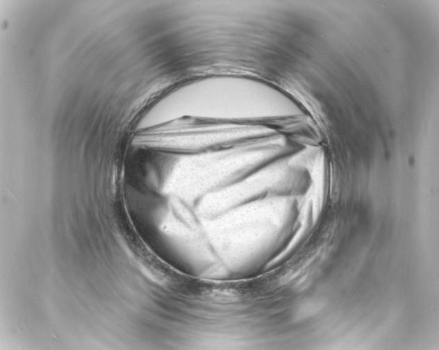 X0000087030157200705141931