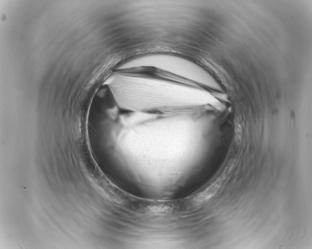 X0000087030158200705141931