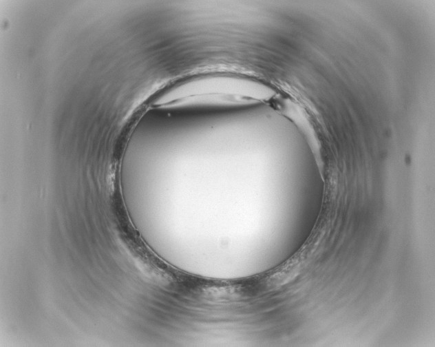 X0000087030160200705141931