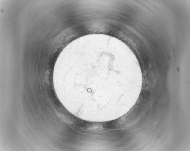 X0000087030162200705141931