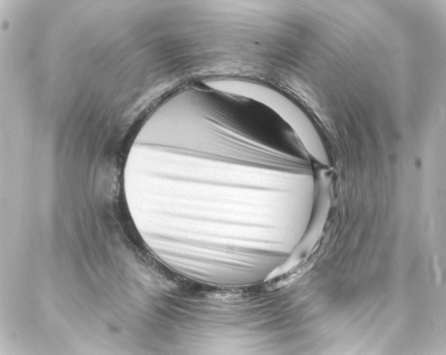 X0000087030164200705141931