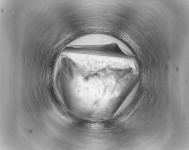 X0000087030165200705141931