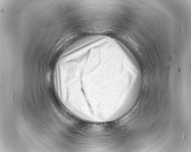 X0000087030166200705141931