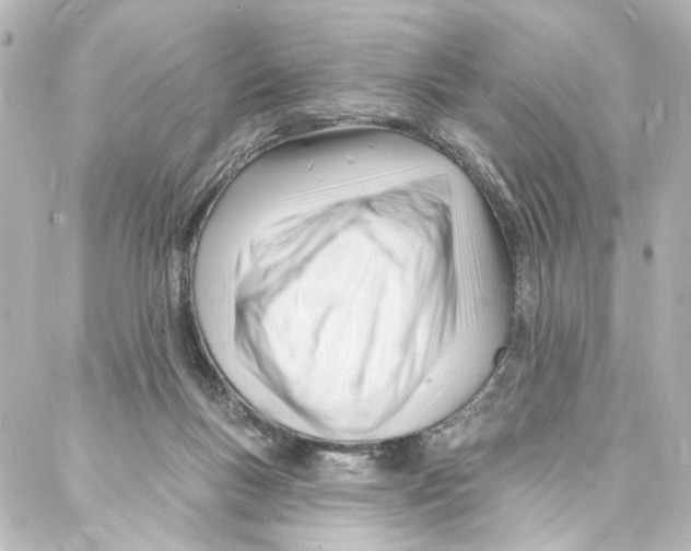 X0000087030167200705141931