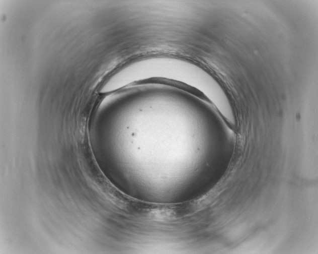 X0000087030168200705141931