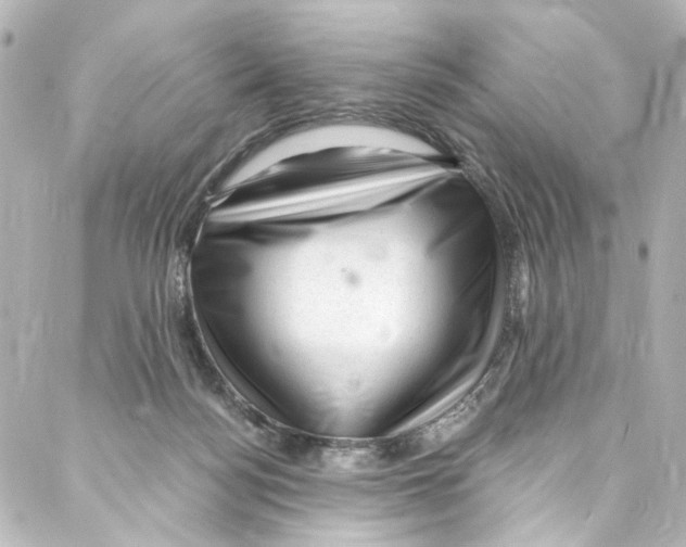 X0000087030172200705141931