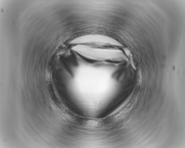 X0000087030176200705141931