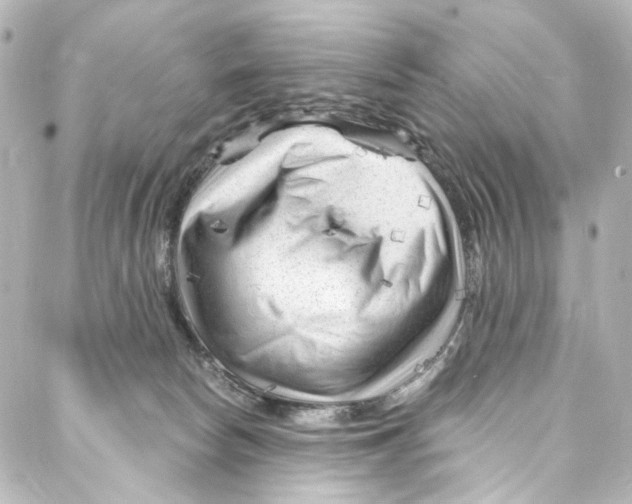 X0000087030178200705141931