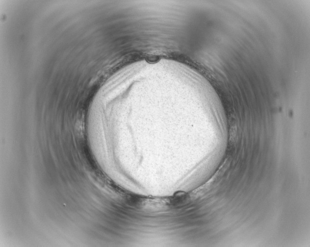 X0000087030179200705141931