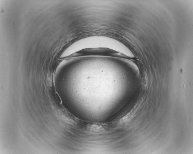 X0000087030180200705141931