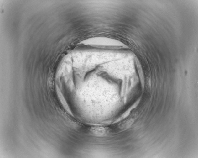 X0000087030181200705141931