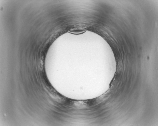 X0000087030183200705141931