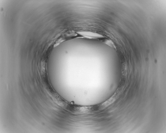 X0000087030184200705141931