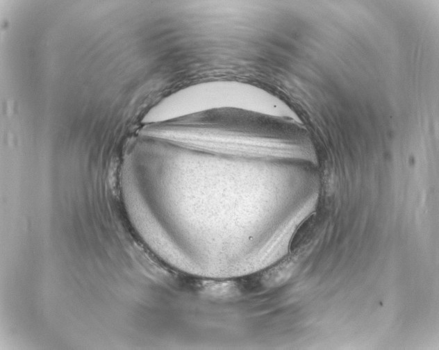 X0000087030185200705141931