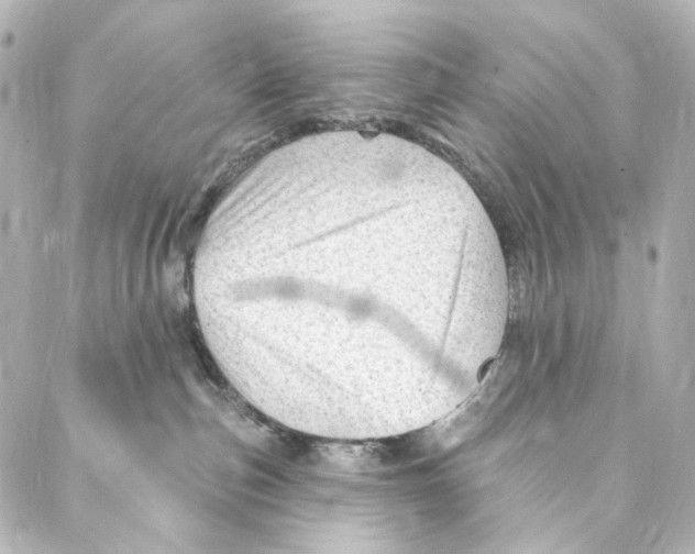 X0000087030187200705141931