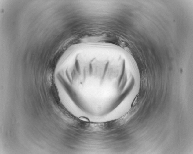 X0000087030188200705141931