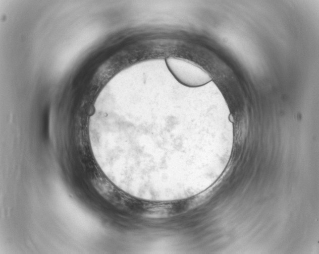 X0000087030191200705141931