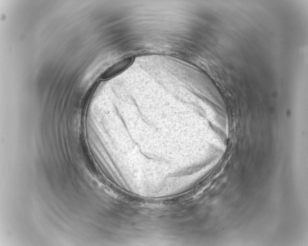 X0000087030194200705141930