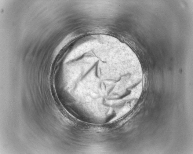 X0000087030195200705141930