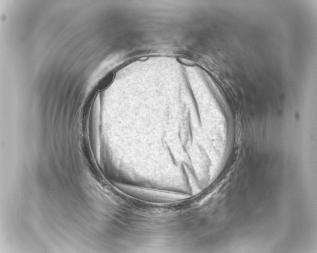 X0000087030198200705141930