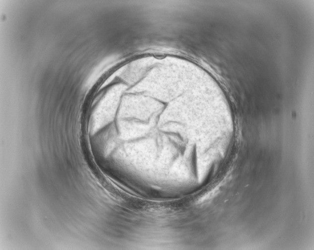 X0000087030199200705141930