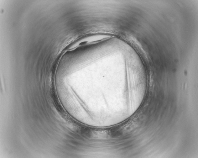 X0000087030202200705141930