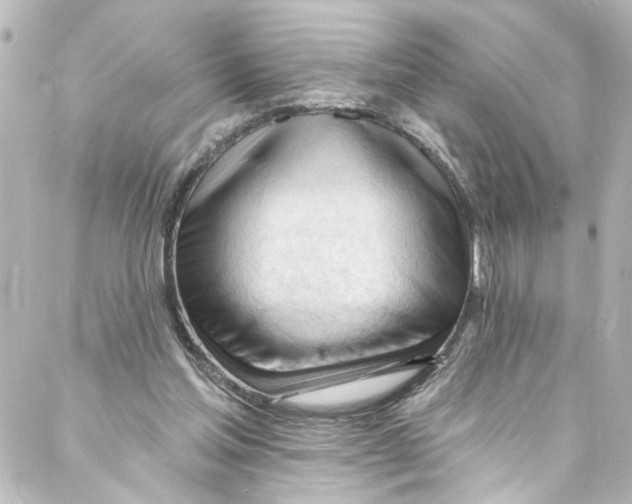 X0000087030205200705141930