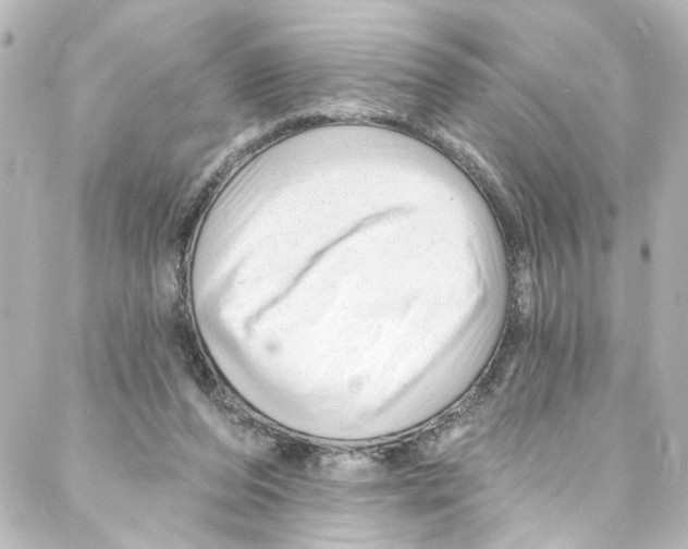 X0000087030208200705141930