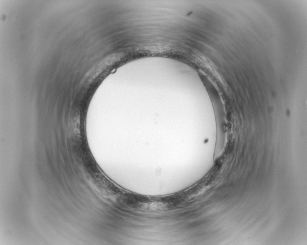 X0000087030212200705141930