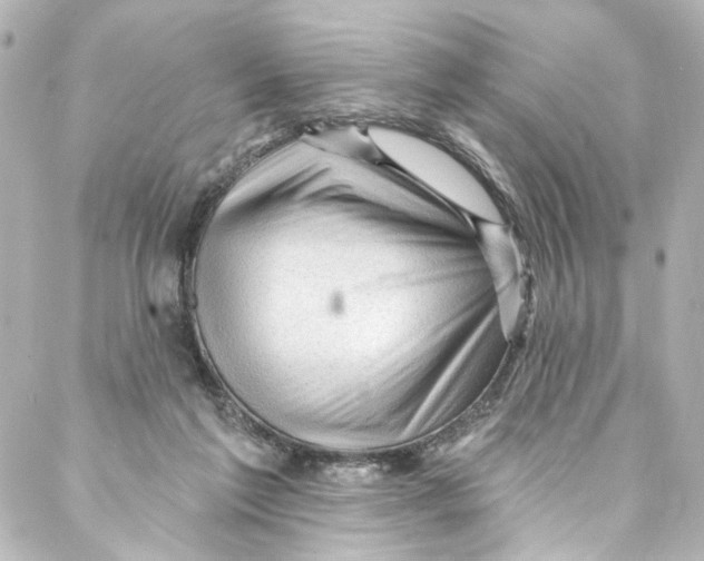 X0000087030213200705141930