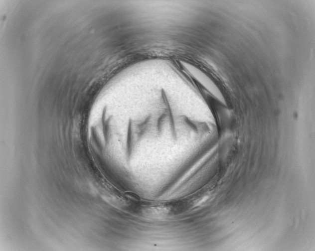 X0000087030217200705141930