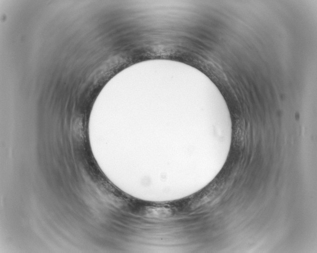 X0000087030220200705141930