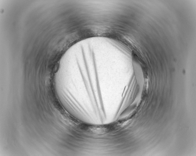 X0000087030221200705141930