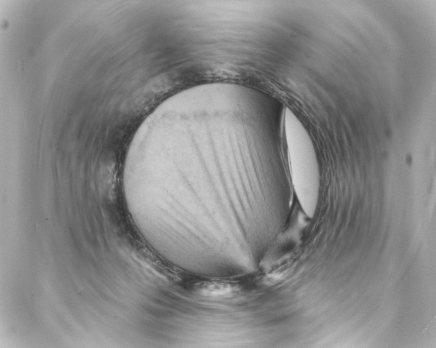 X0000087030223200705141930