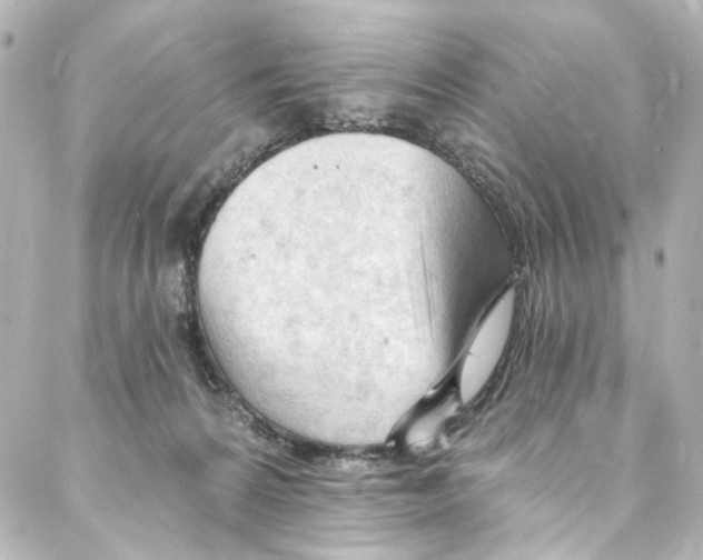 X0000087030224200705141930