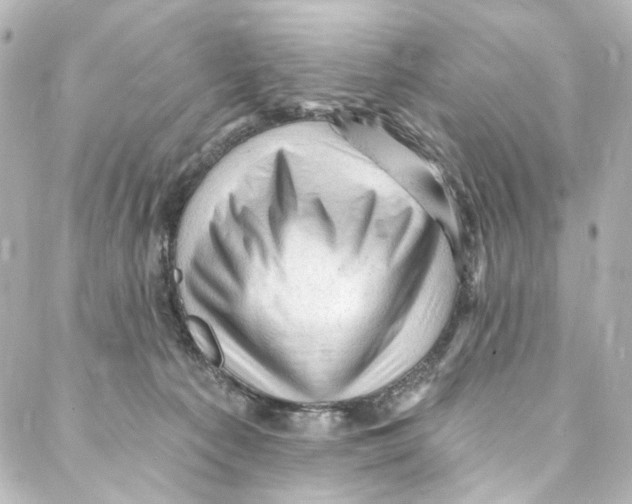 X0000087030225200705141930