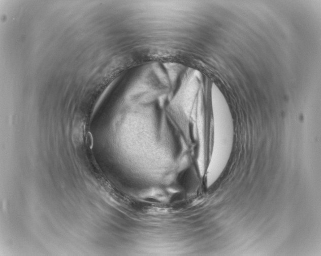 X0000087030227200705141930