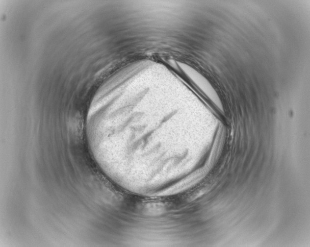 X0000087030228200705141930