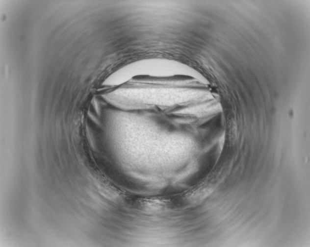 X0000087030229200705141930